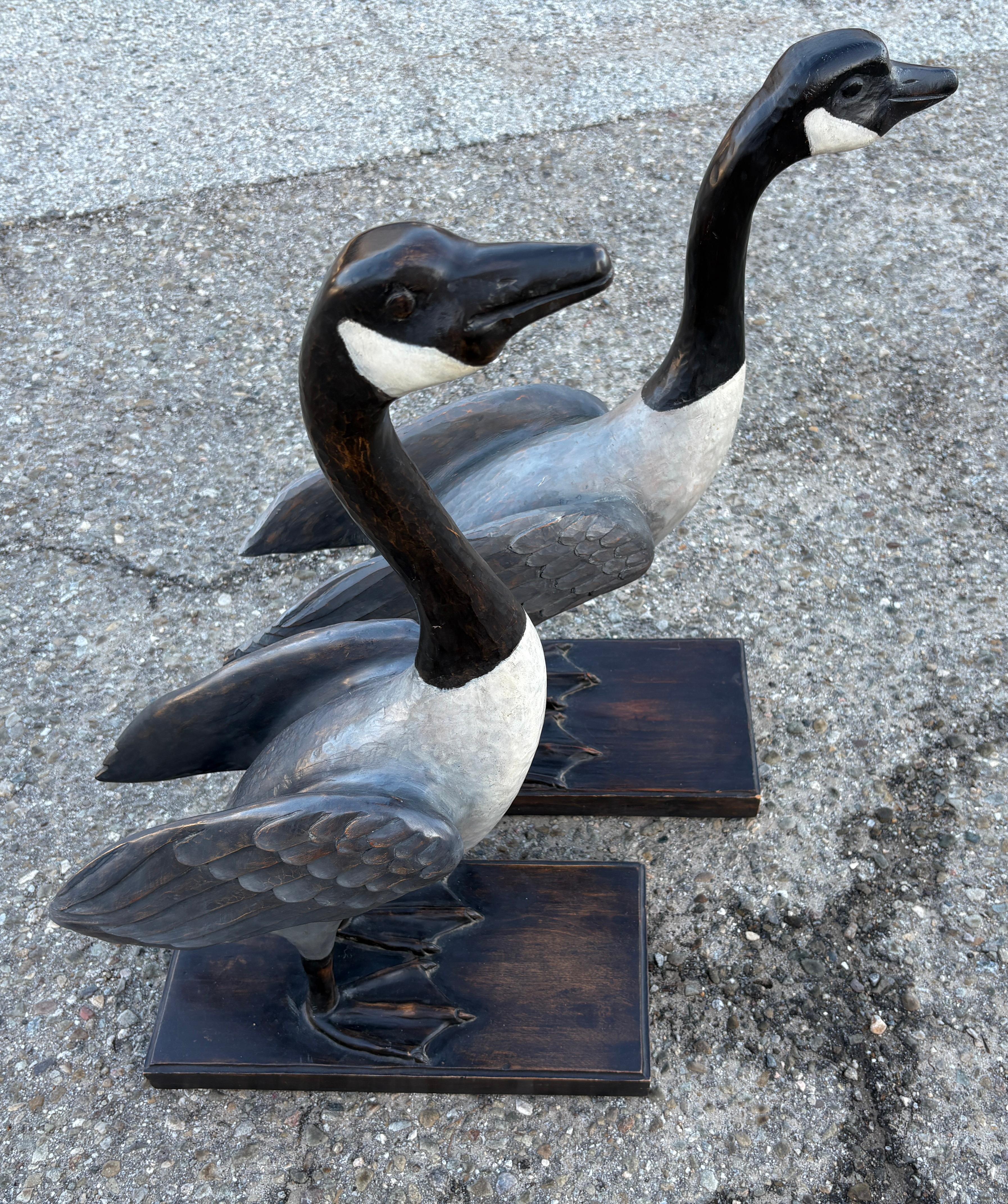 Handgeschnitzte & bemalte große kanadische Gänse - Paar (Volkskunst) im Angebot