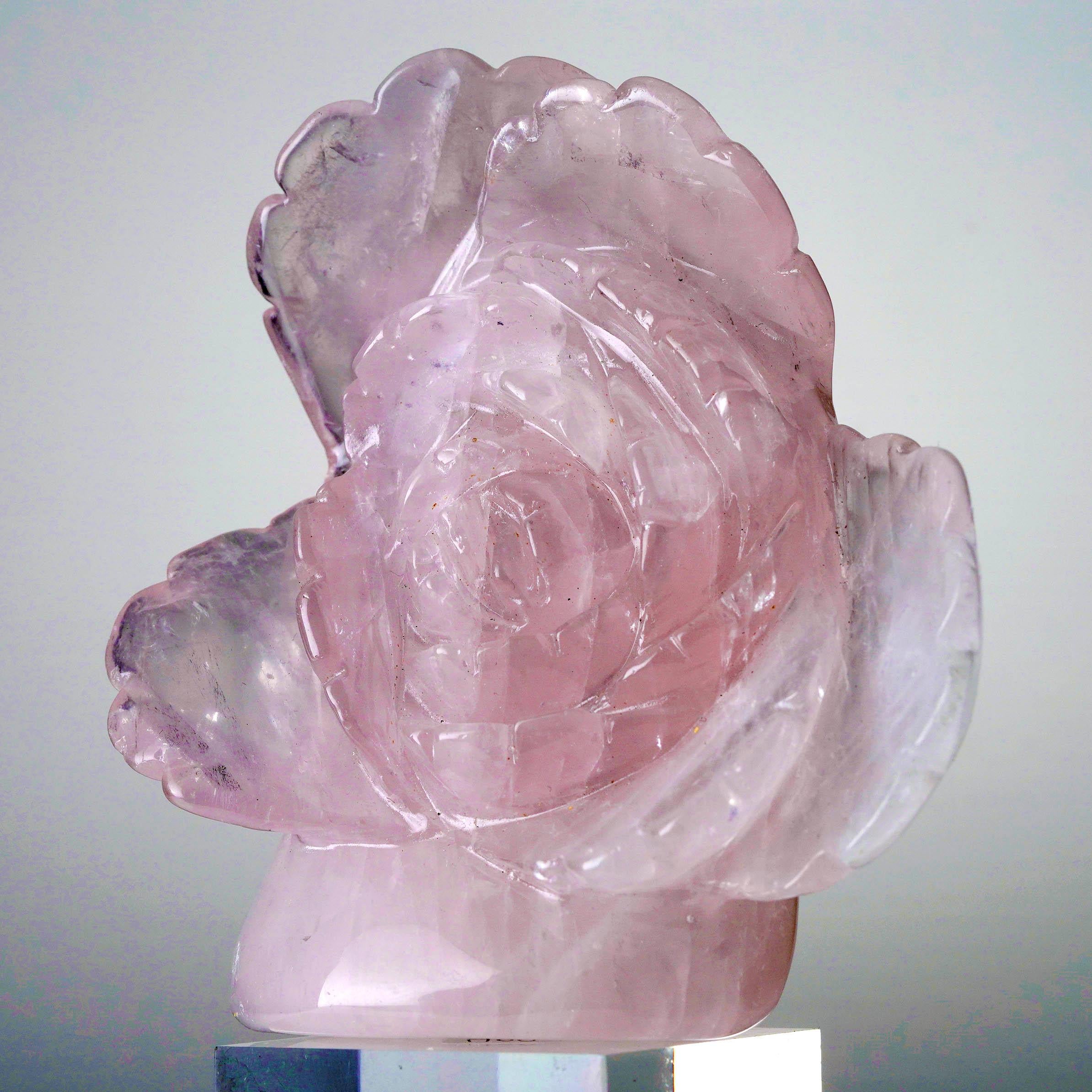 Questa rosa lucente e realistica è stata scolpita a mano in quarzo rosa del Madagascar di qualità AAA. La traslucenza dei petali, delicatamente intagliati e ricchi di dettagli, si manifesta con sottili venature interne. Questo pezzo di squisita