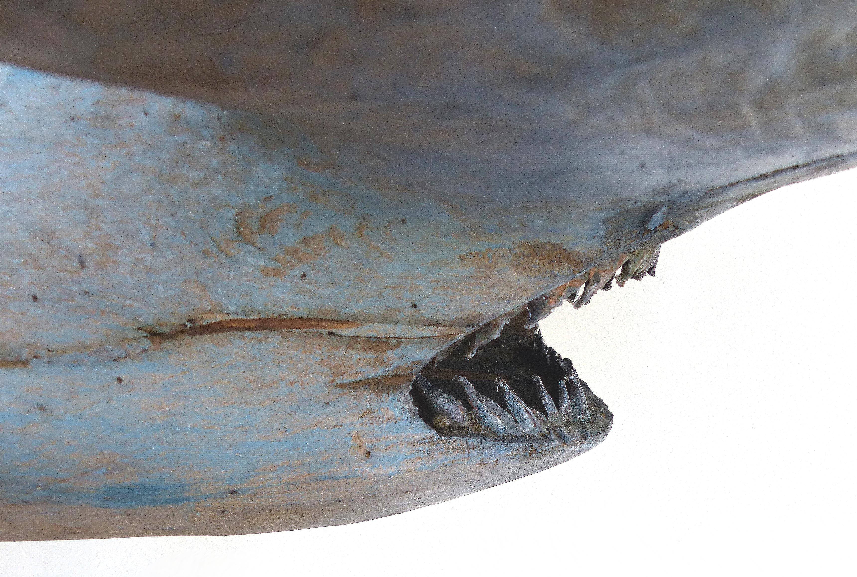 Davis Murphy Handgeschnitzte Skulptur eines Hammerhais:: 2018 im Zustand „Gut“ in Miami, FL