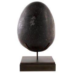 Hand Carved Soap Stone Egg on Museum Mount