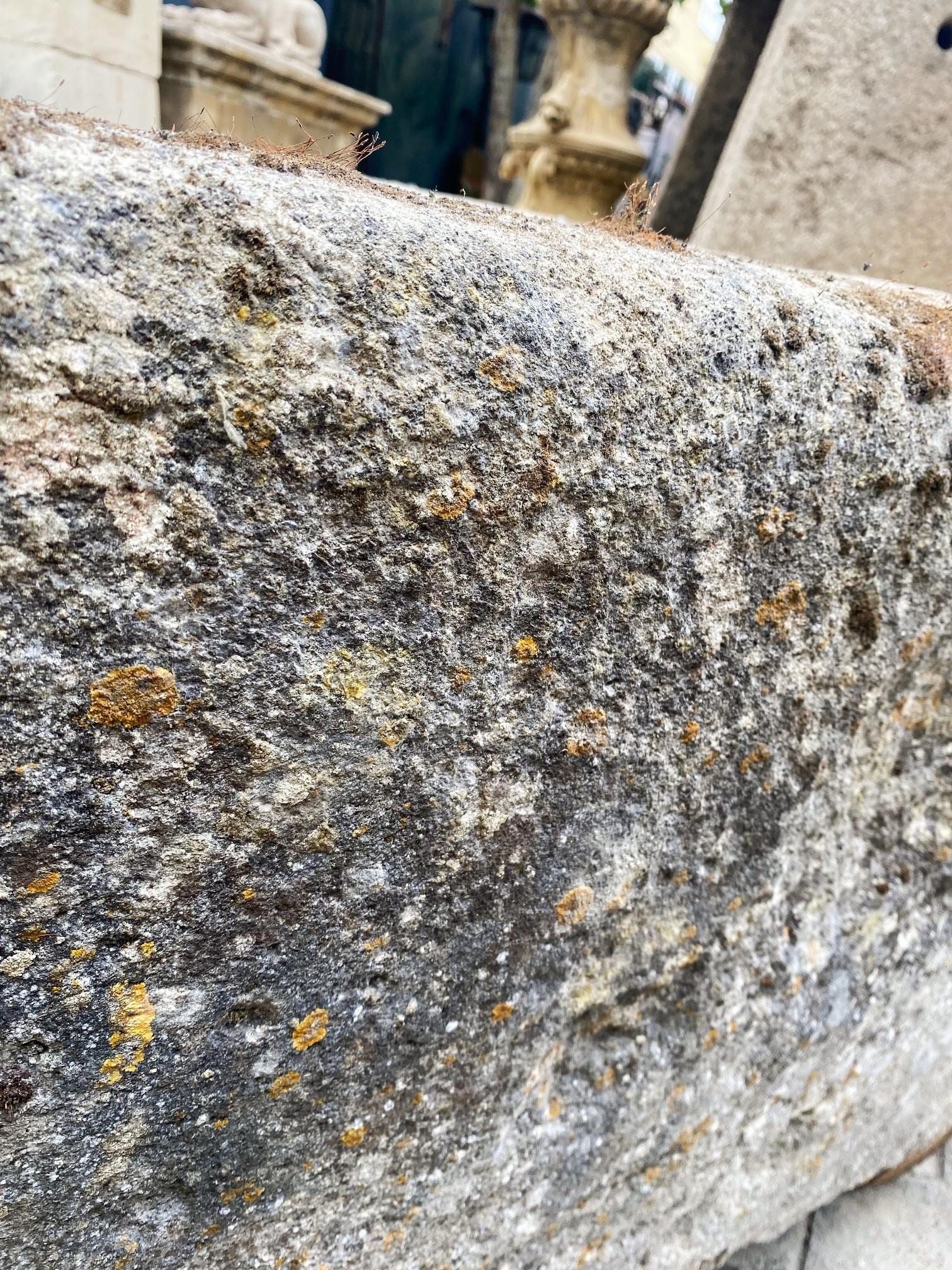 Ancienne auge de cheminée en pierre sculptée à la main pour récipient de fontaine, bassin de fontaine et jardinière - Antique LA 4