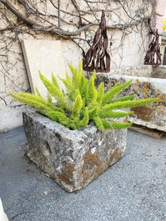Hand Carved Stone Container Jardinière Trough Basin Planter Antique Farm Sink LA