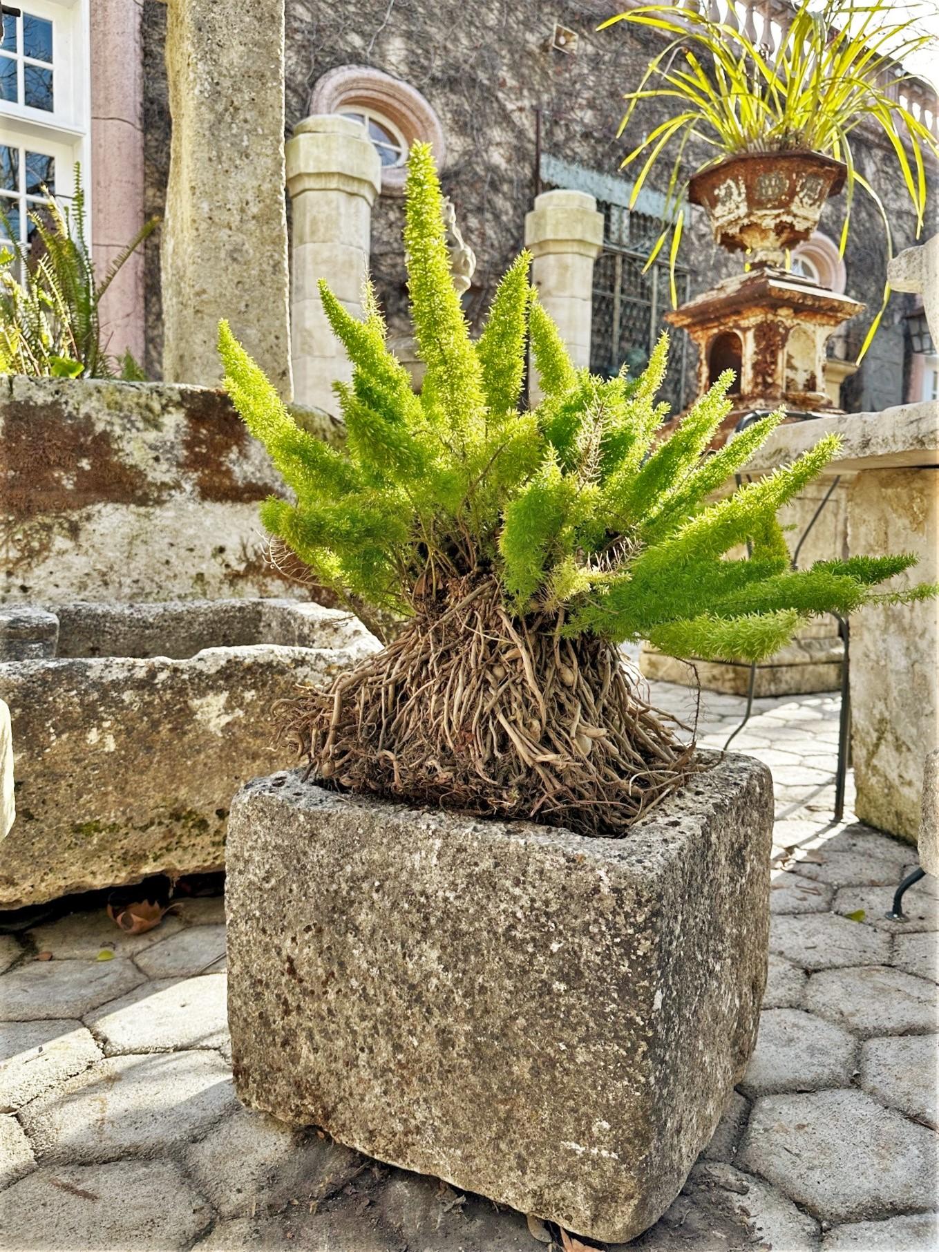 Français Récipient de jardinière en pierre sculpté à la main, soucoupe à bassin de souche, évier de ferme ancien, LA en vente