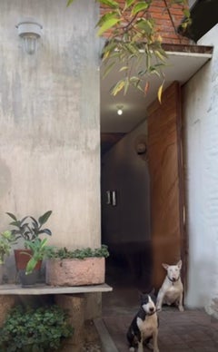 Hand Carved Stone Container Planter Jardinière Basin Fountain Trough Round Sink