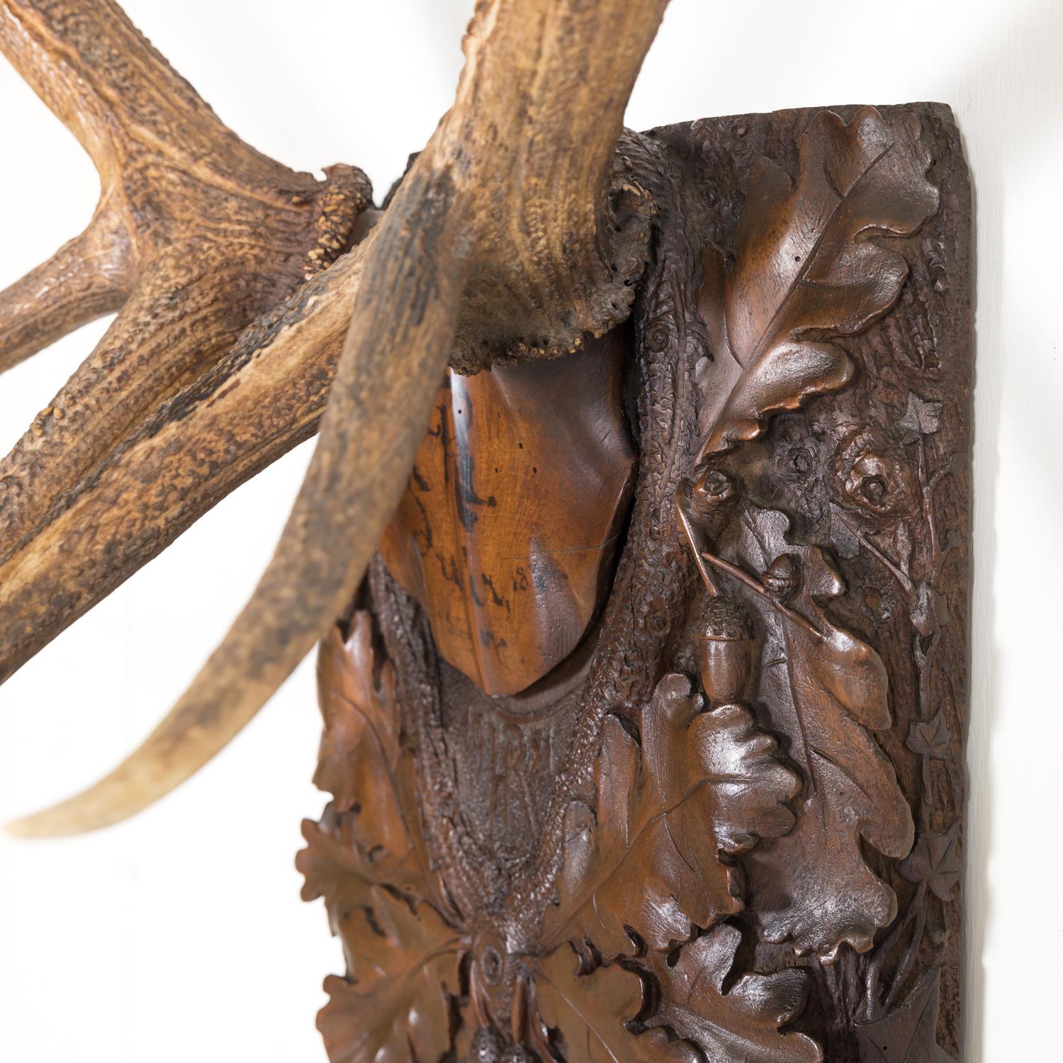 Hand Carved Swiss Black Forest Trophy Plaque with Antlers 5