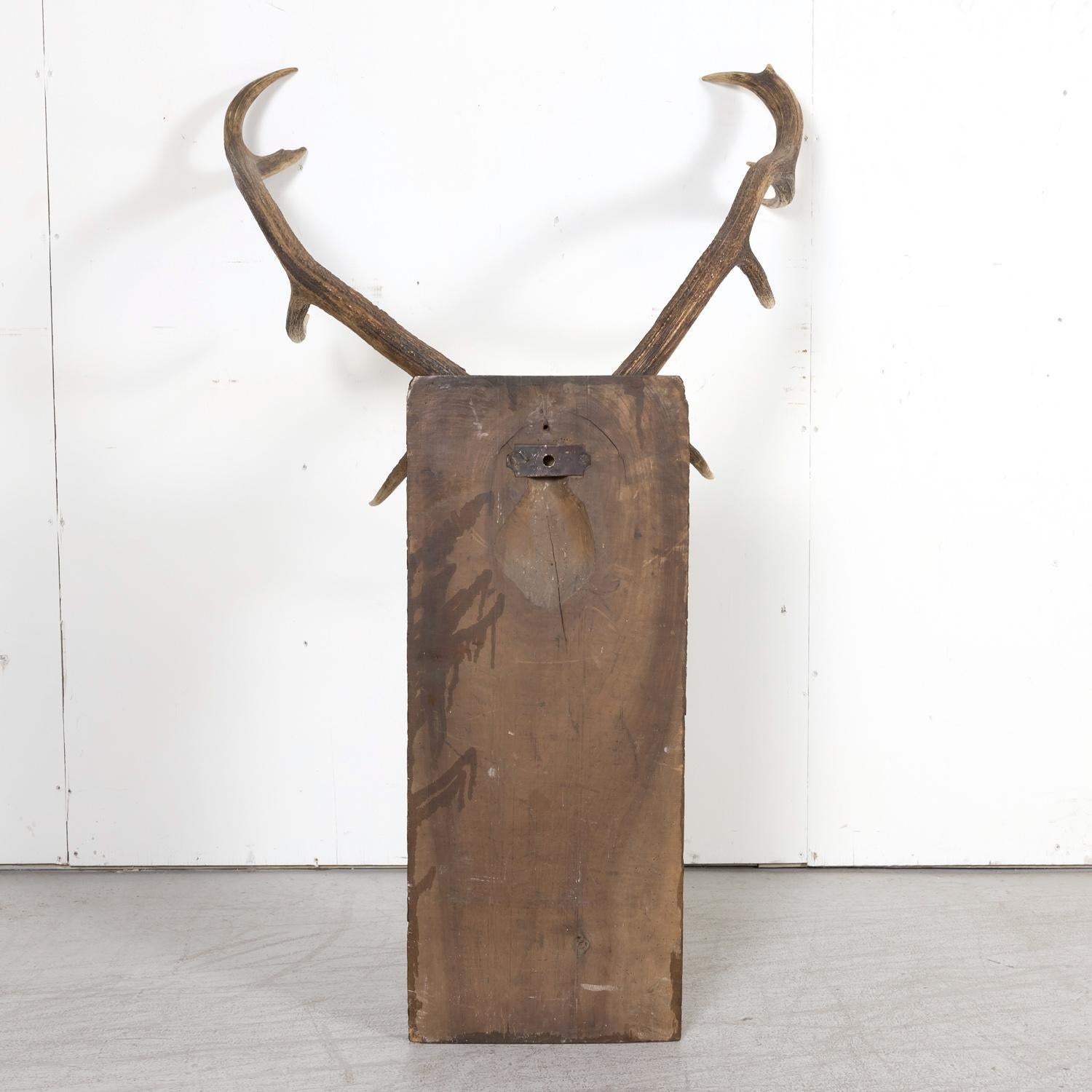 Hand Carved Swiss Black Forest Trophy Plaque with Antlers 9