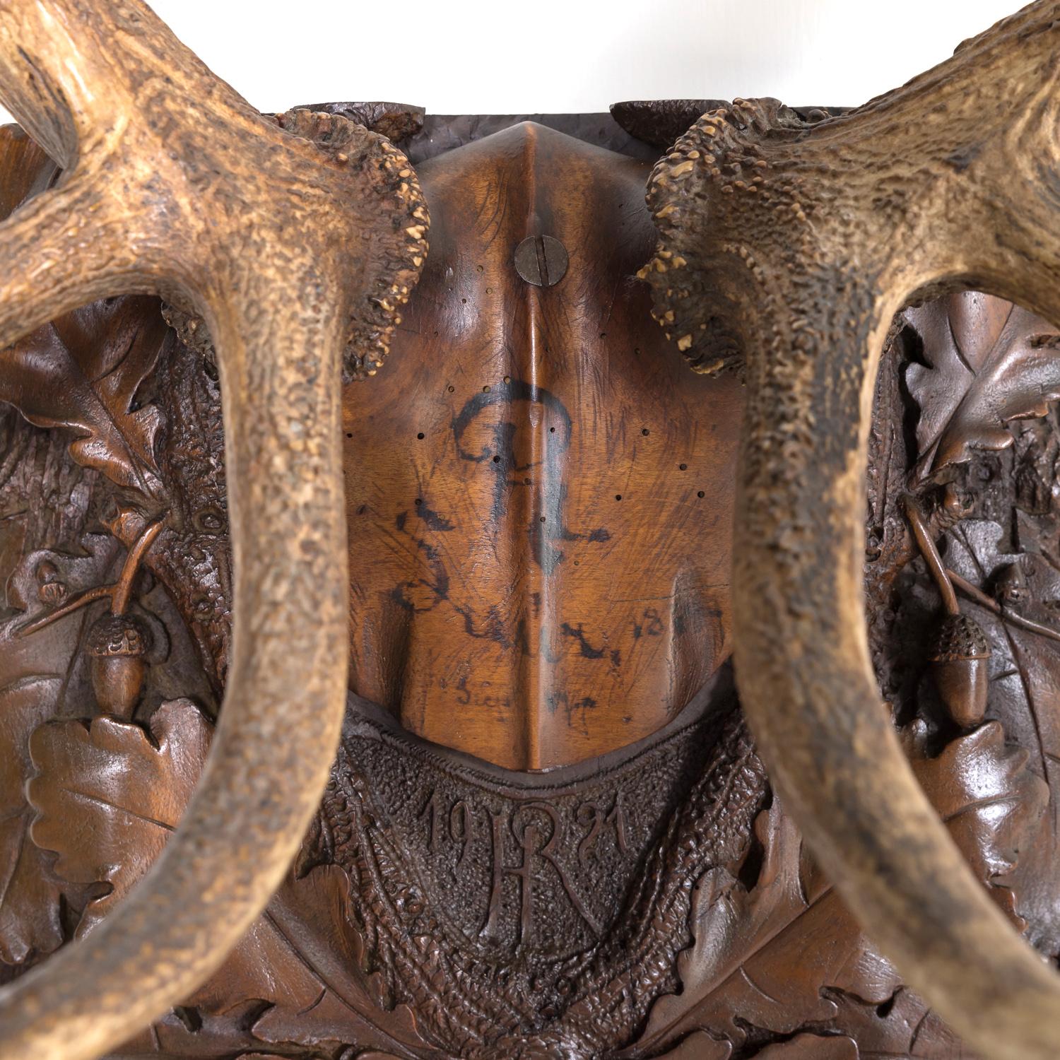 Walnut Hand Carved Swiss Black Forest Trophy Plaque with Antlers