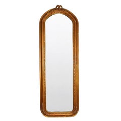 Hand-Carved Tall Giltwood Mirror in the style of Louis XVI