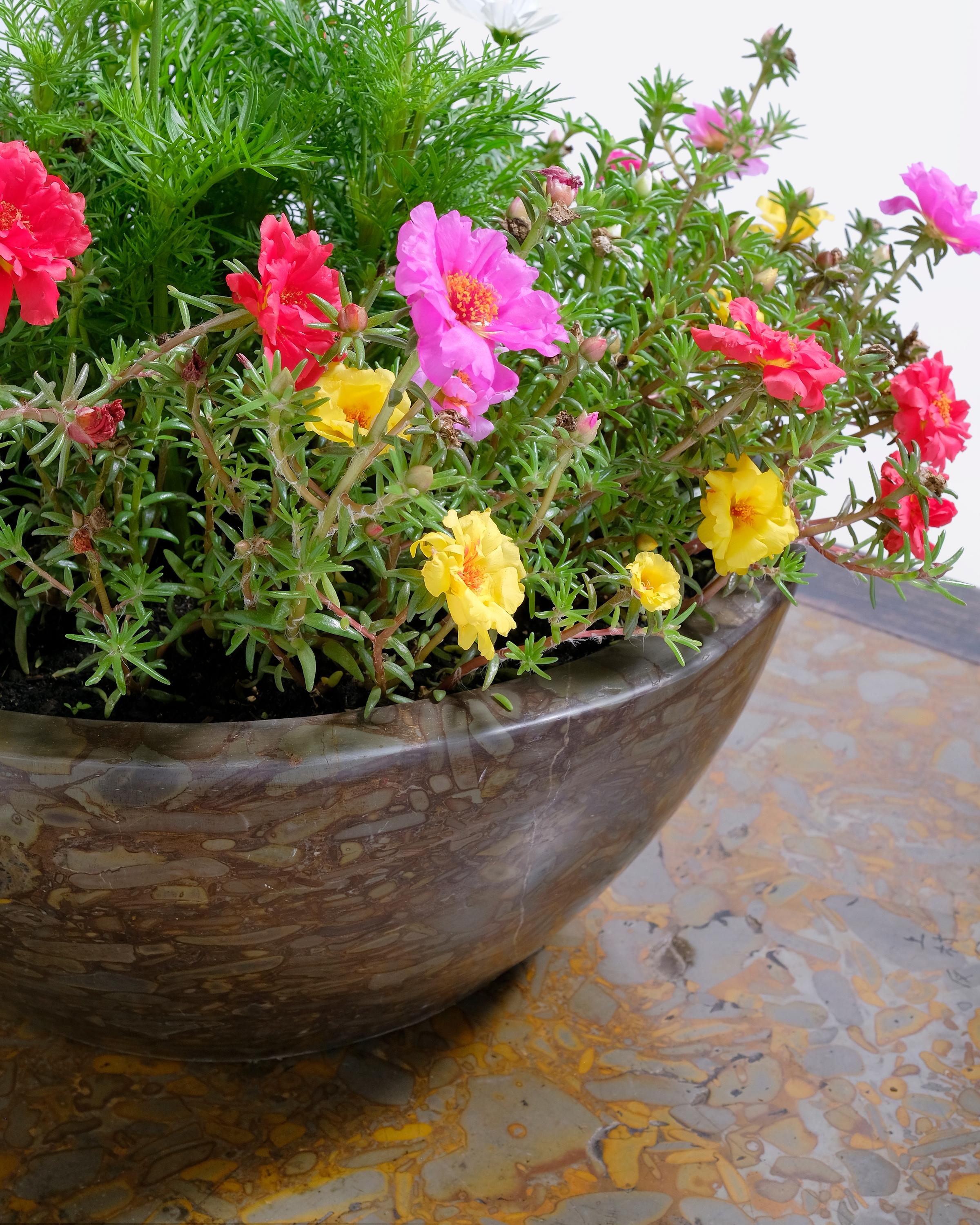 Contemporary Hand-Carved Tapered Puddingstone Planter For Sale