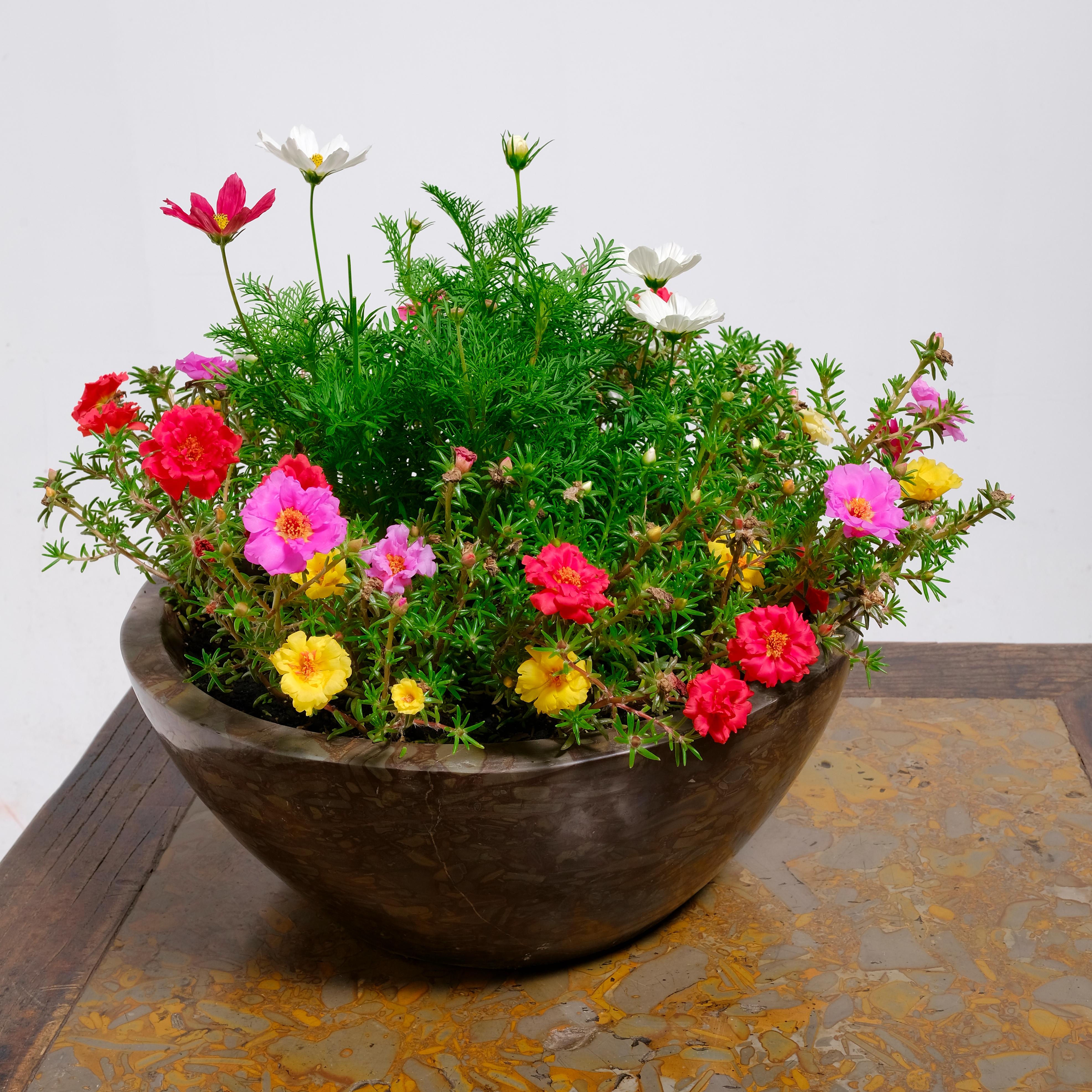 Chinese Hand-Carved Tapered Puddingstone Planter For Sale