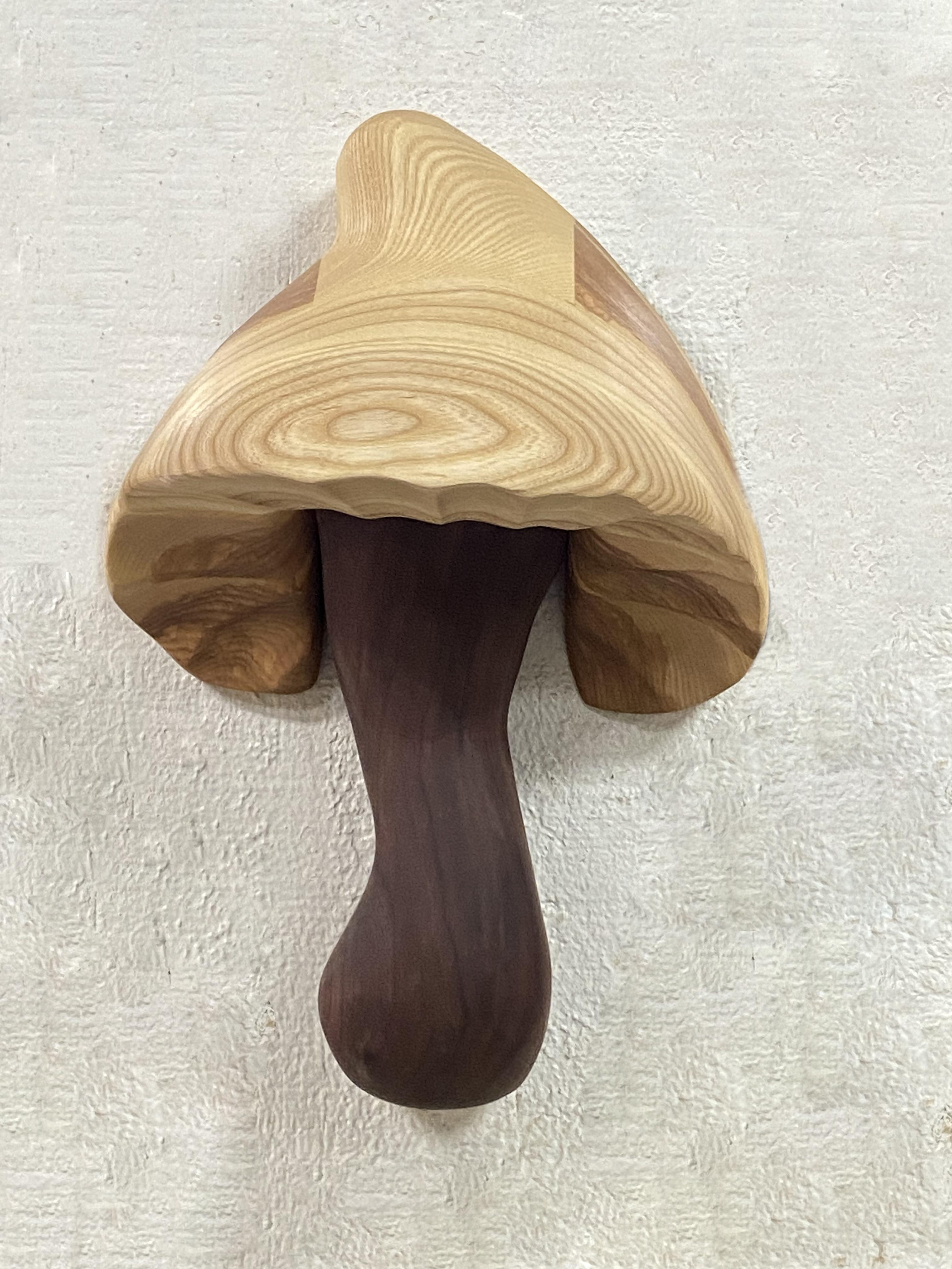 Modern Hand-Carved Wall-Mounted Mushroom from Walnut and Ash For Sale