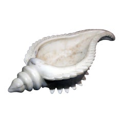 Hand Carved White Marble Conch Bowl from India
