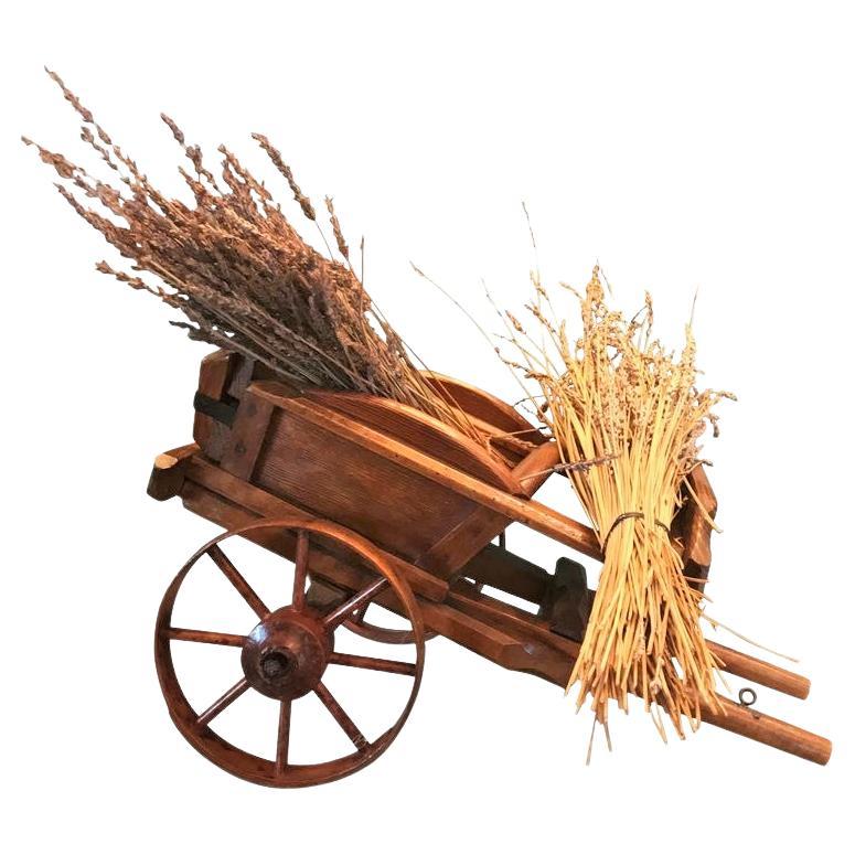 Un beau chariot à jouets en bois du 19ème siècle
Ce chariot de style agricole du 19ème siècle a une magnifique patine d'usage. Les roues à rayons en bois du wagon et son essieu tournant fonctionnent parfaitement. Y compris la poignée.
Elle est