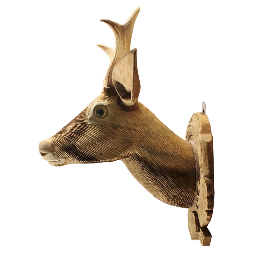 Hand Carved Wood Deer Head, 20th Century For Sale