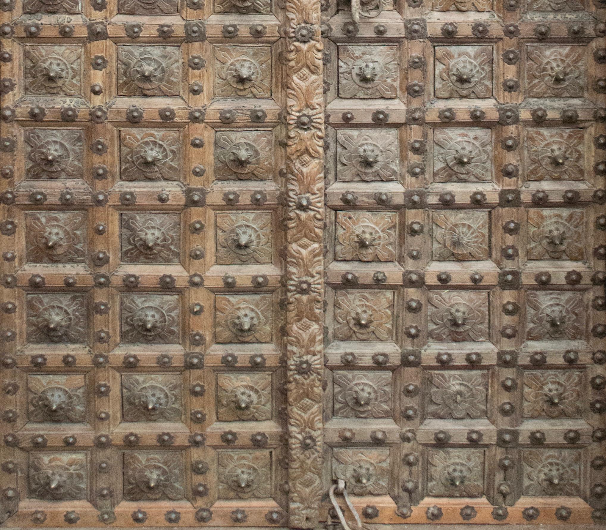 Indian Hand Carved Wood Door, with Organic Design, Gujarat India