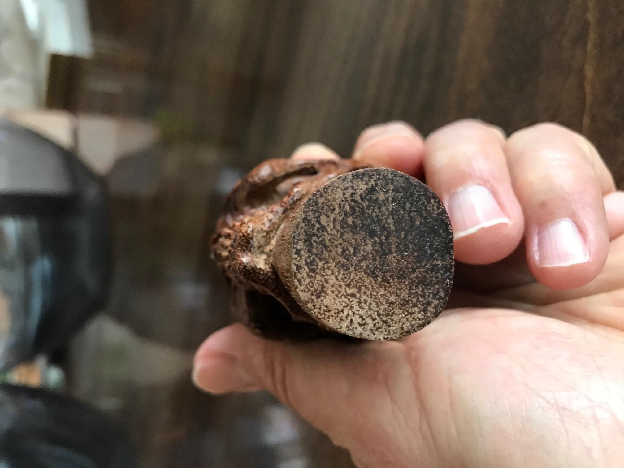 Handgeschnitztes Holz Memento Mori Schädel Stock Gehstock Griff im Angebot 3