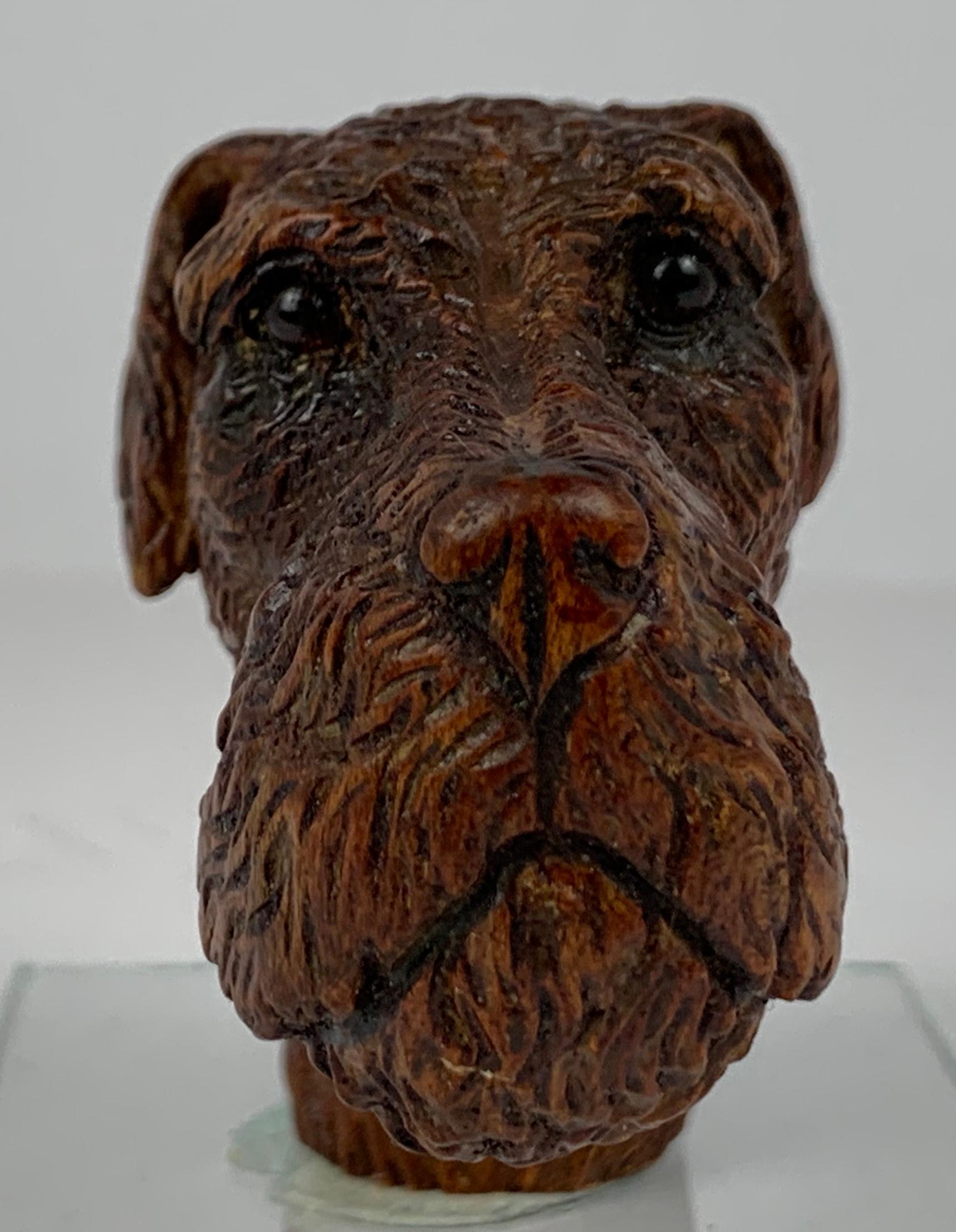 Victorian Airedale Terrier with Glass Eyes- Hand Carved Cane Topper