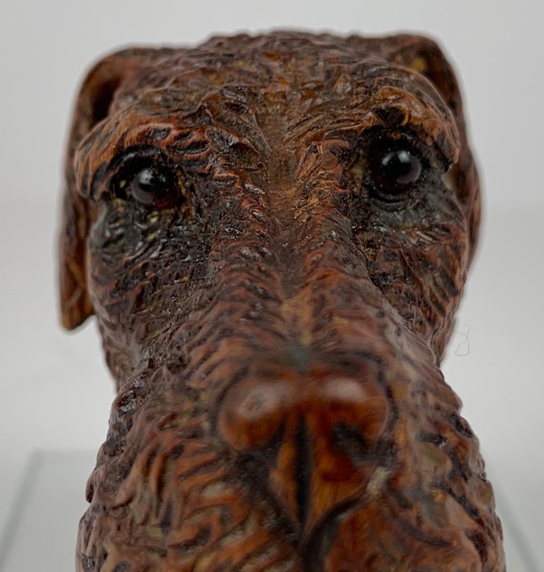 English hand carved wooden Airedale terrier cane topper with the most beautiful glass eyes. He looks like he could bark any time now (and you don't have to walk him).  Truly the carving is very realistic.  Many collectors don't have room to collect