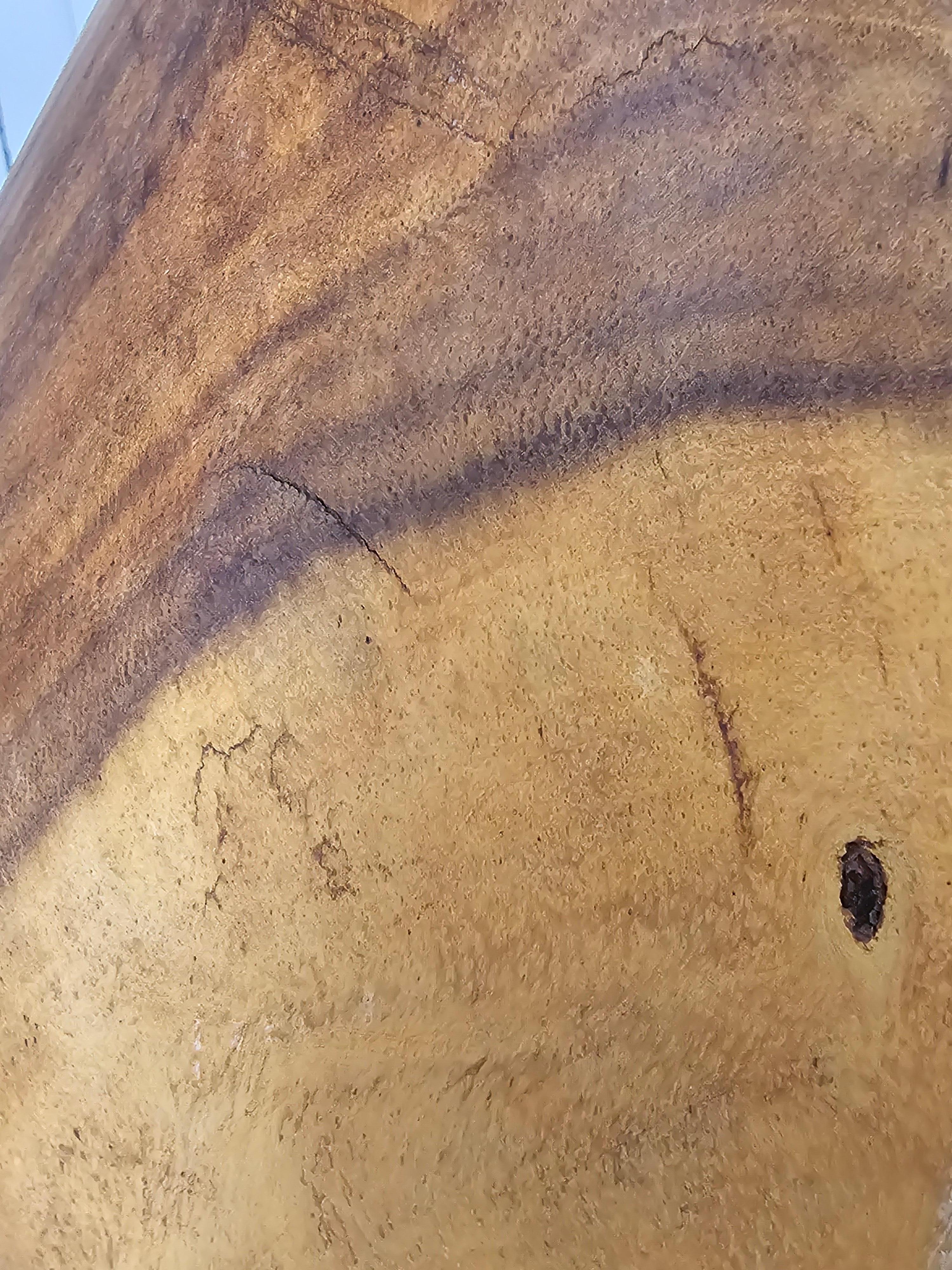 Handgeschnitzte weibliche Torso-Skulptur aus Holz im Angebot 3