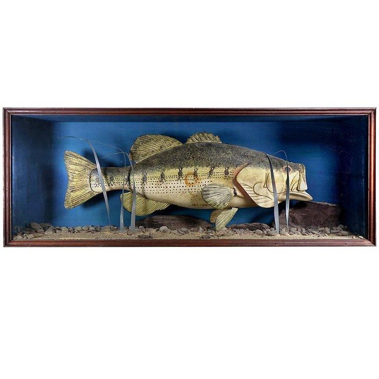 American Hand Carver Folk Art Fish in Glass Display Case