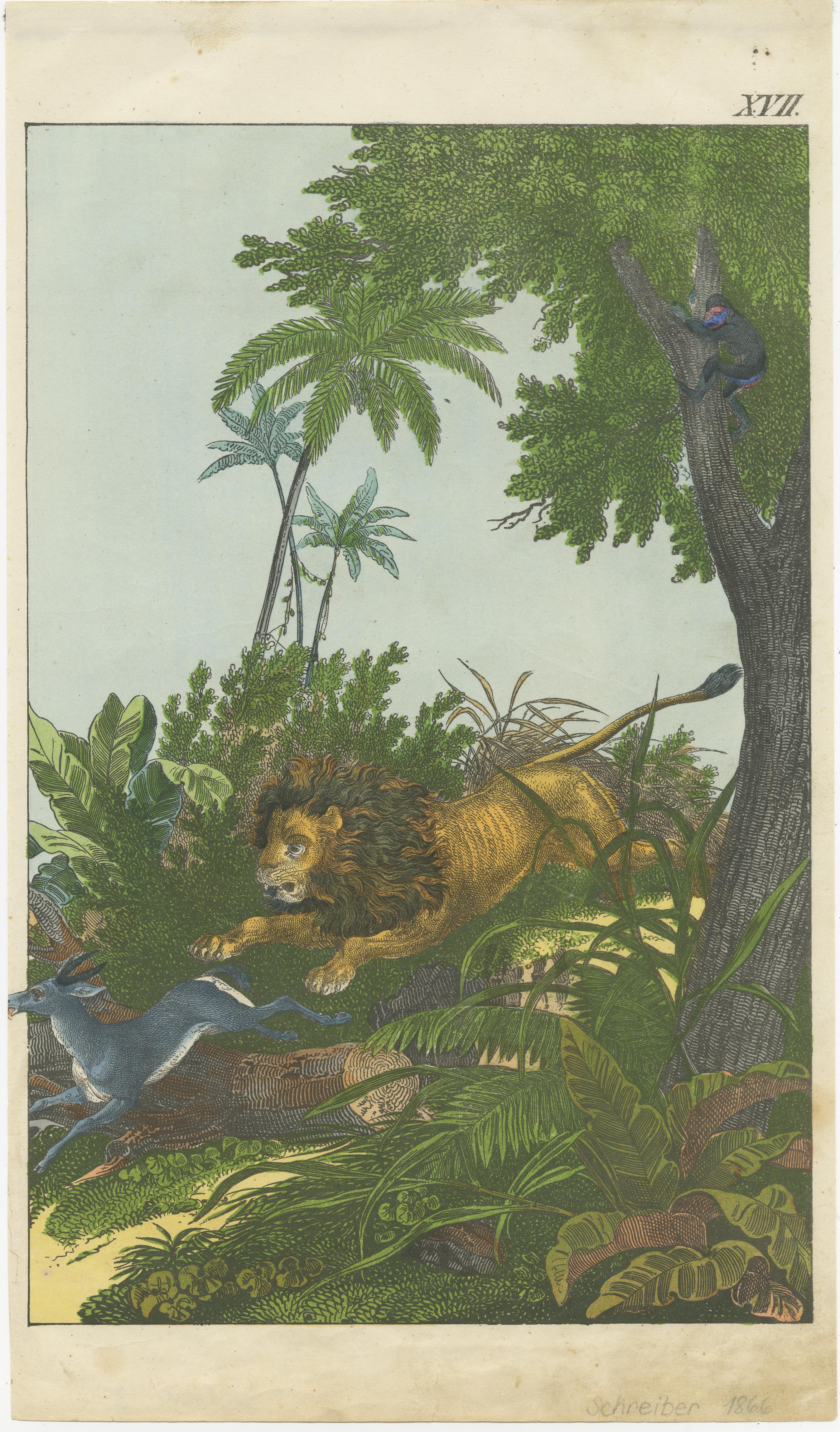 Lithograph of a hunting lion. Source unknown, to be determined. Published circa 1870.