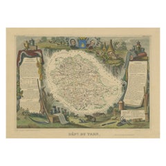 Carte ancienne coloriée à la main du département du Tarn, France, vers 1852
