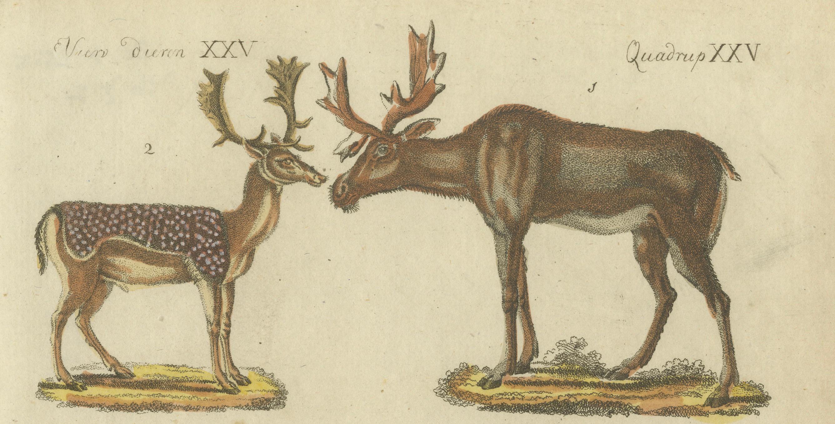 Hand Colored Antique Print of Deer, Billy Goats and Goats, circa 1820 For Sale 1