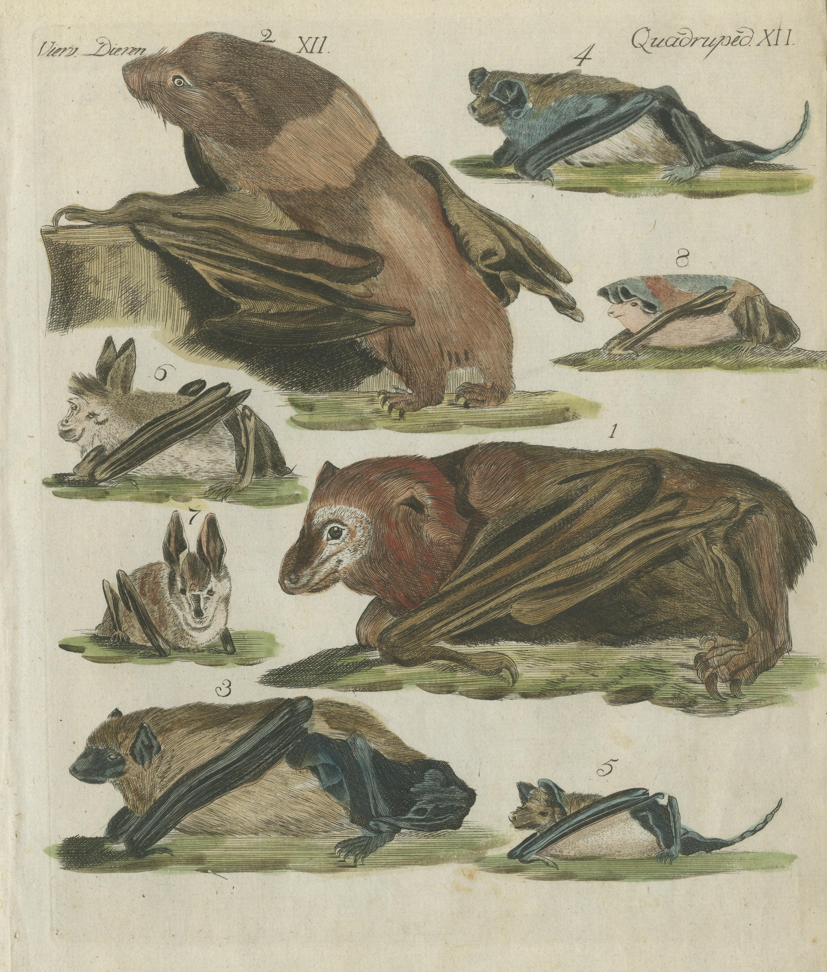Engraved Hand Colored Antique Print of Flying Foxes and Bats, circa 1820 For Sale
