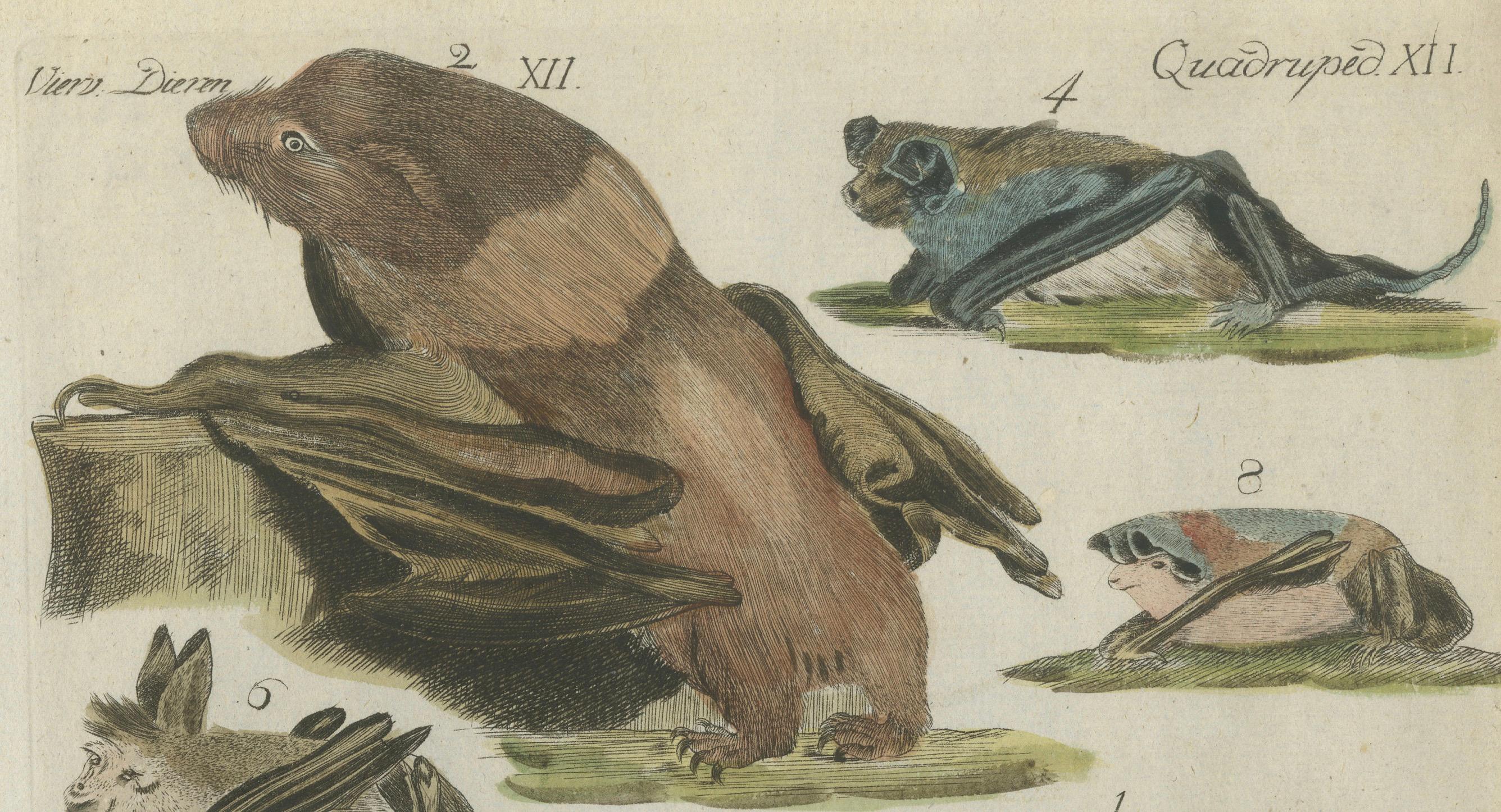 Hand Colored Antique Print of Flying Foxes and Bats, circa 1820 In Good Condition For Sale In Langweer, NL