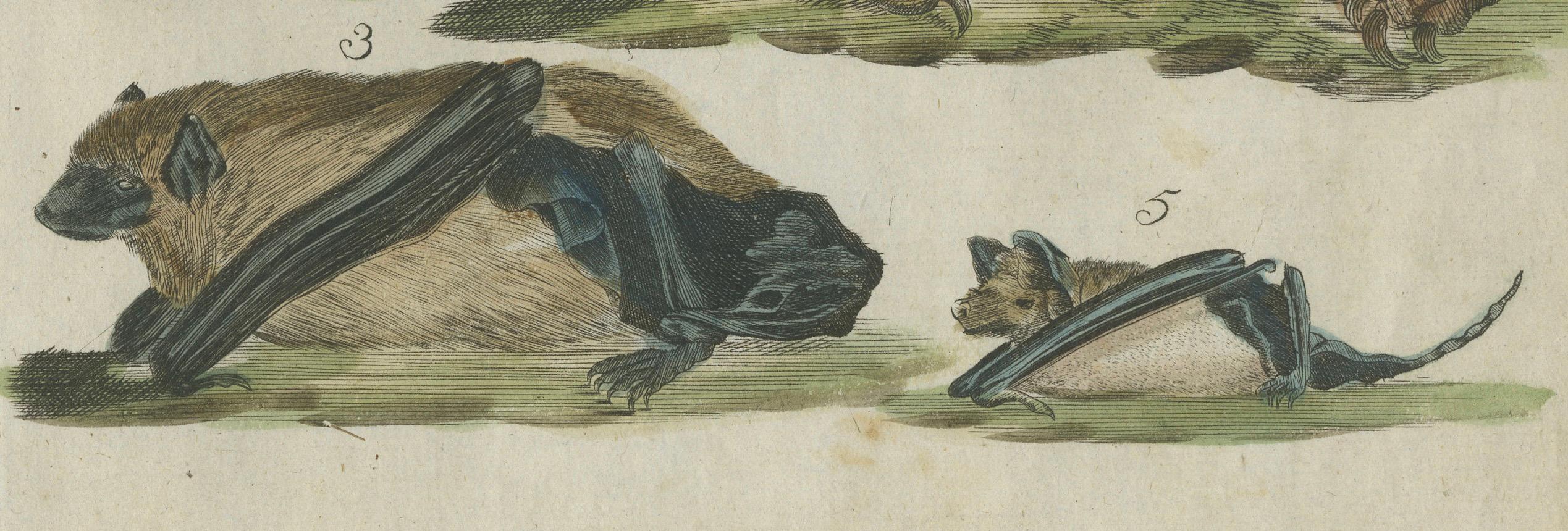 19th Century Hand Colored Antique Print of Flying Foxes and Bats, circa 1820 For Sale