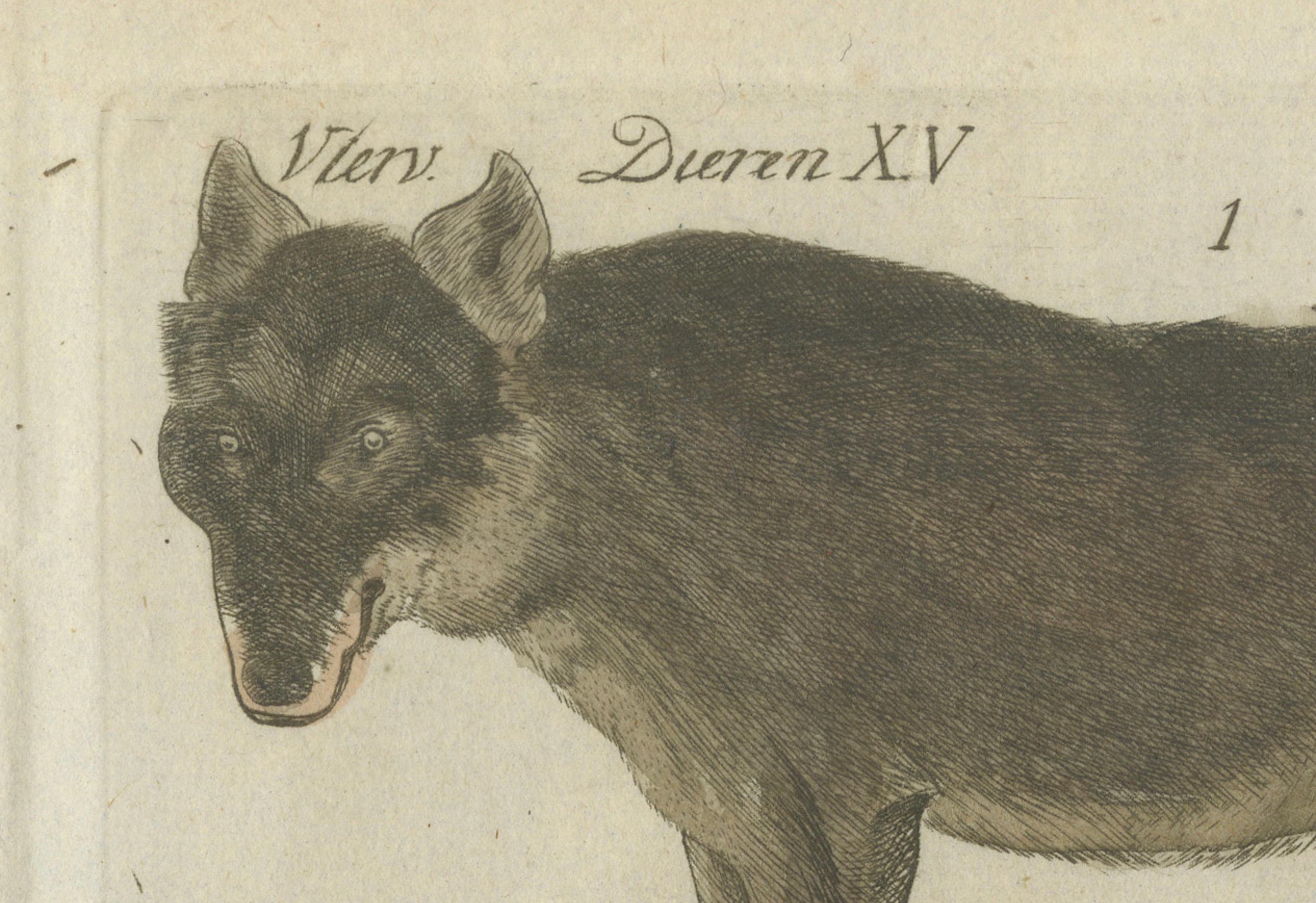 Hand Colored Antique Print of Wolves and a Fox, circa 1820 For Sale 1