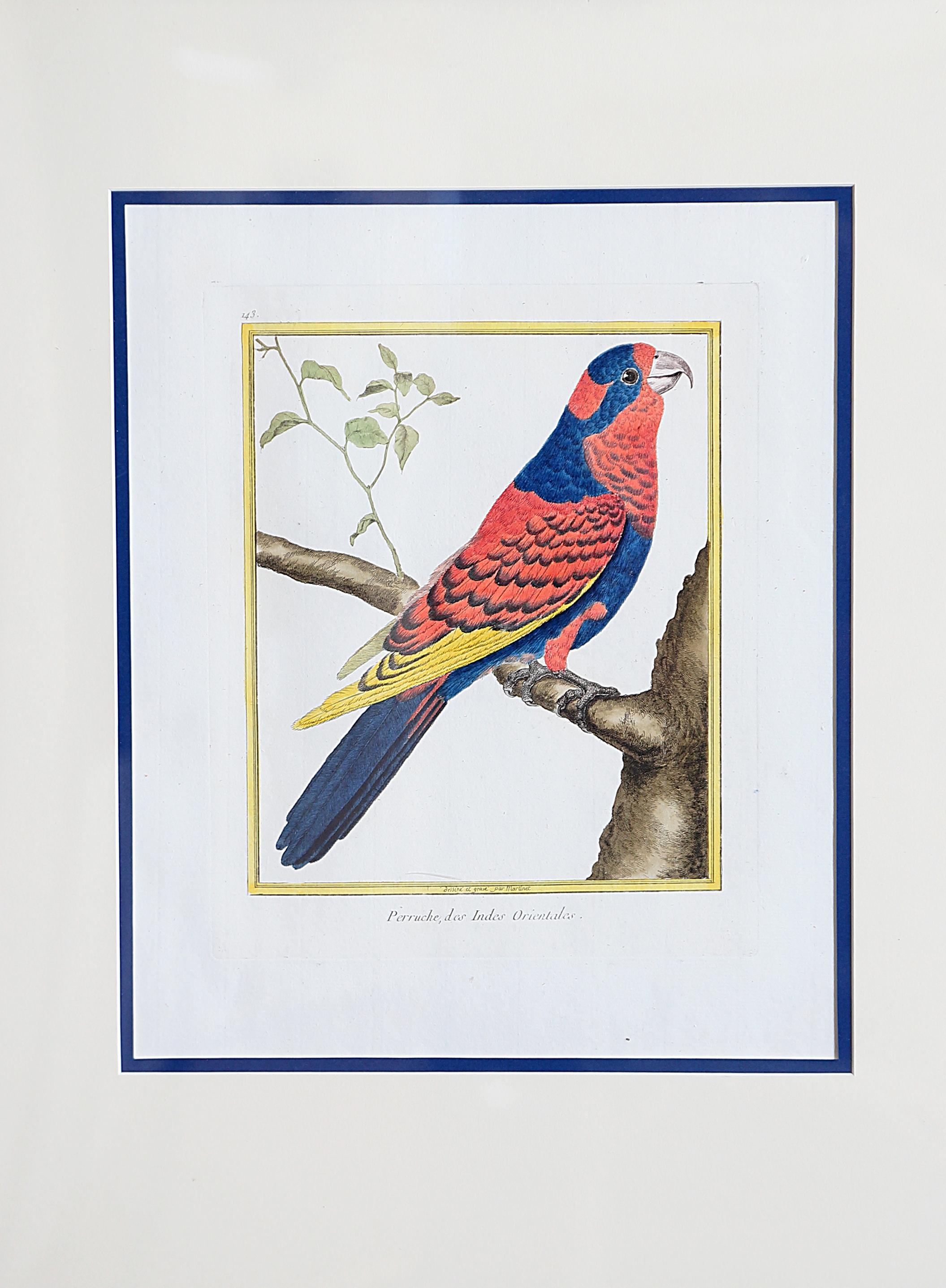 Hand-Colored Bird Engravings by François Nicolas Martinet In Good Condition In Dallas, TX