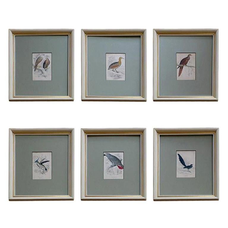 Antique Hand Colored Bird Engravings, circa 1890 (6 individual pieces available) For Sale
