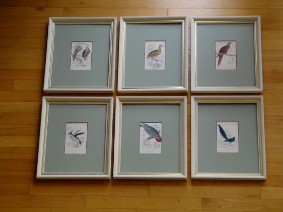 #5- 3023a hand colored bird engraving. Original engraving matted in a Celidone green, glass and white wood frame.
6 available choice by photo below
Hand colored 
Priced individually.

 