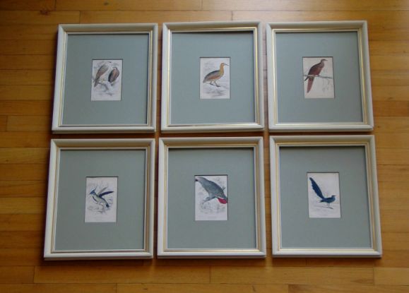 Antique Hand Colored Bird Engravings, circa 1890 (6 individual pieces available) In Good Condition For Sale In Douglas Manor, NY