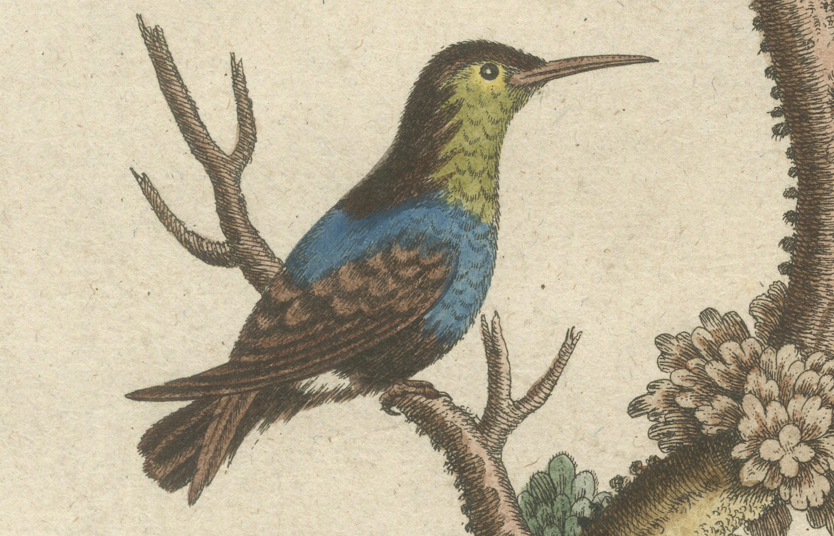 Gravure colorée à la main d'oiseaux de chasse et de dormouse par Seligmann, ca. 1770 Bon état - En vente à Langweer, NL