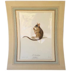 Neoclassical Drawings