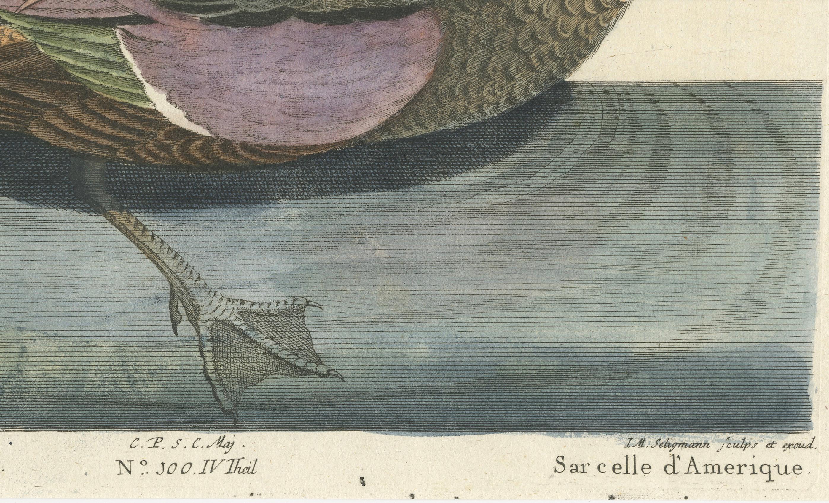 Hand-Colored Engraving of the American Variegated Teal by Seligmann, ca.1770 In Good Condition For Sale In Langweer, NL