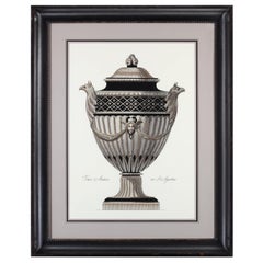 Antique Contemporary Italian hand coloured Roman vase print with handcrafted black frame