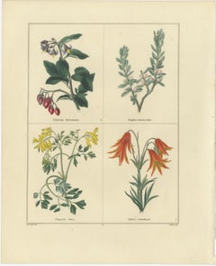 Hand-Colored Floral Engravings, Pair of 1828 Botanical Prints, London