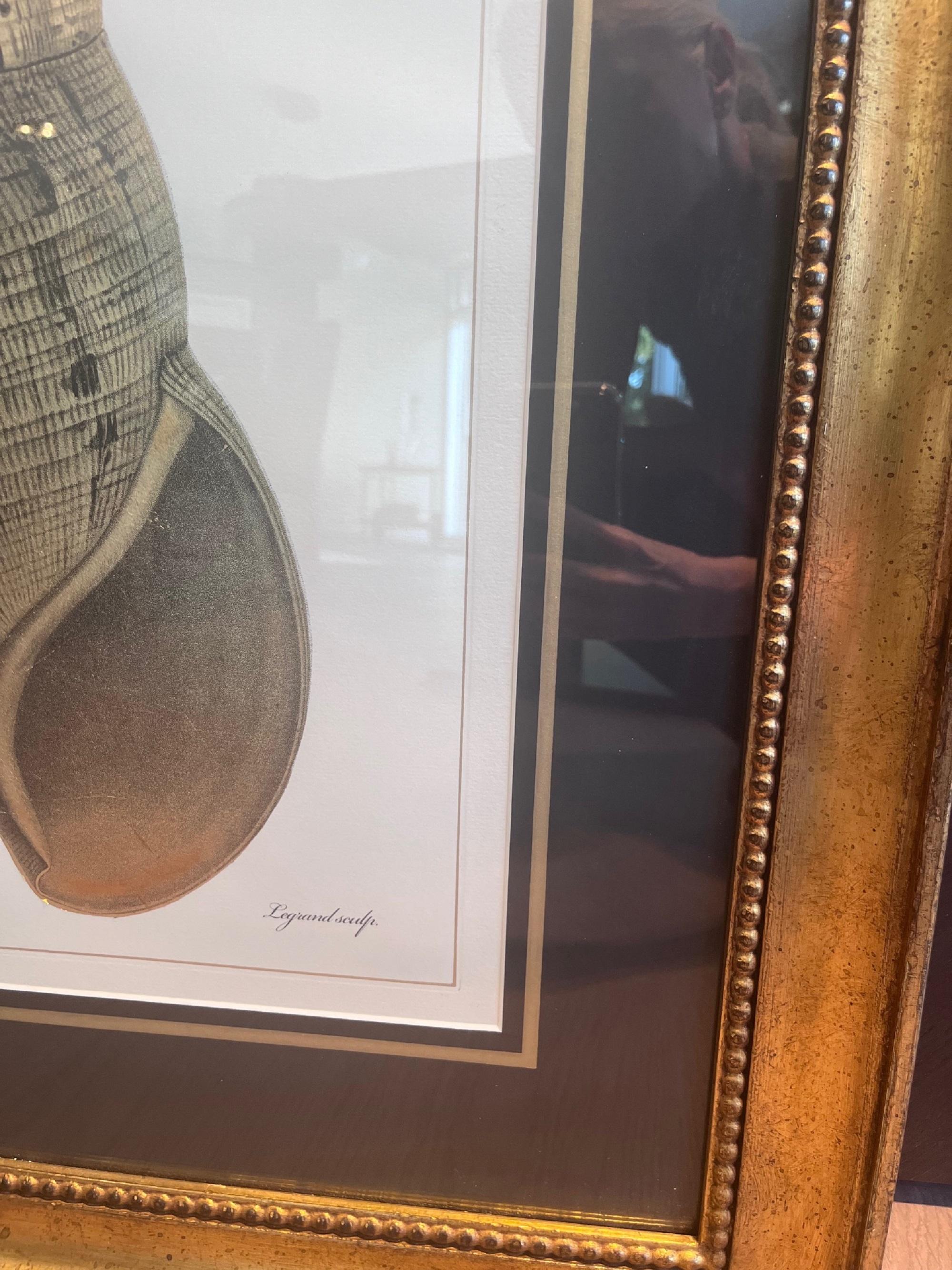 Handkolorierter italienischer Muscheldruck 