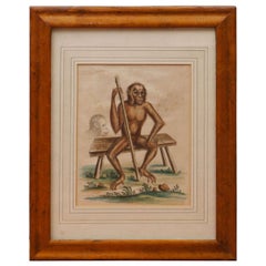 Hand Colored "Wild Man" Engraving by George Edwards, 1757