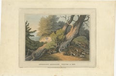 Hand-Coloured Aquatint 'American Anecdote Wolves & Boy', 1813