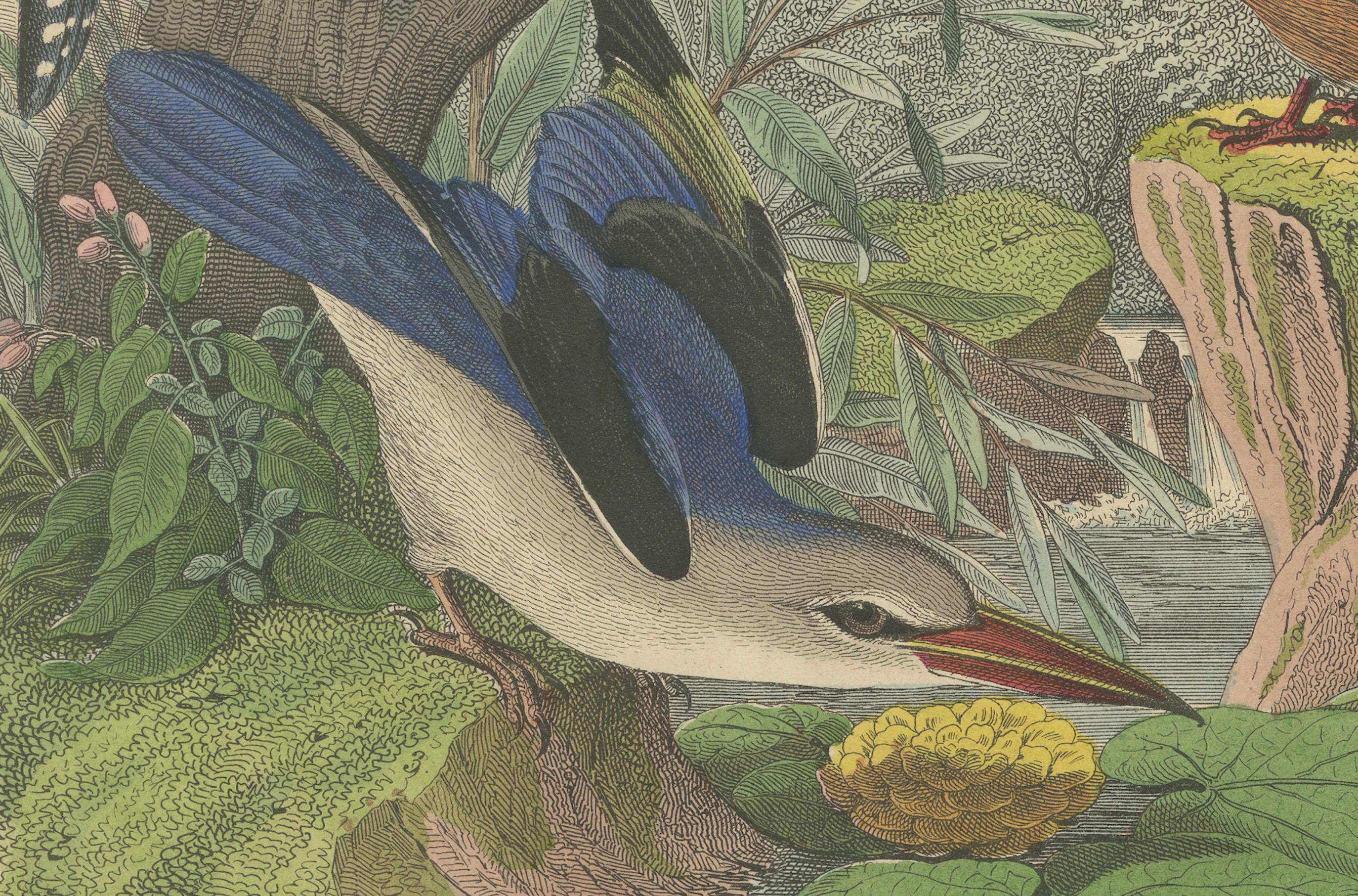 Hand-Coloured Lithograph of Kingfishers in Serenity: An 1852 Riverside Study For Sale 1