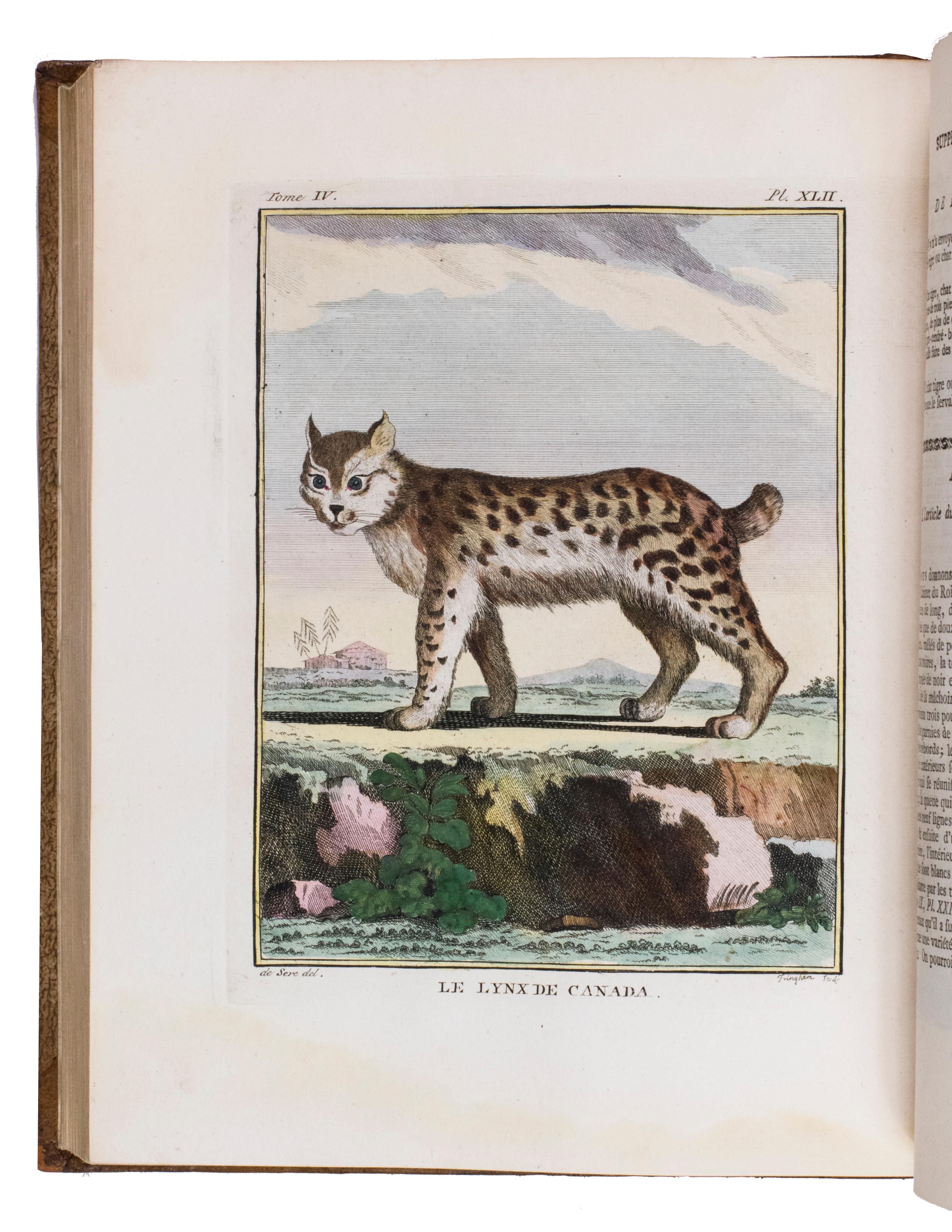 Hand-coloured set of Buffon’s Histoire naturelle in its most luxurious form For Sale 2