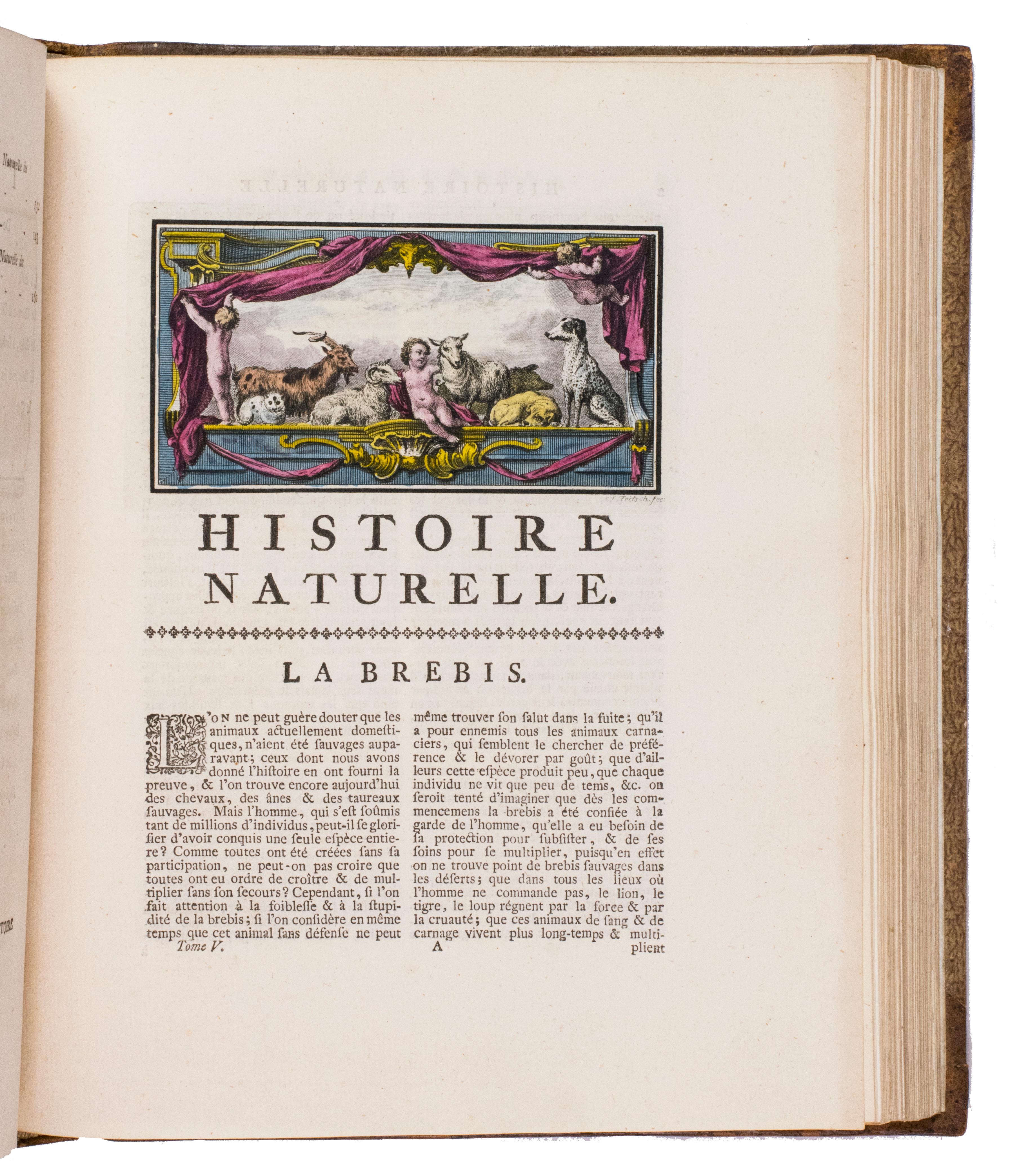 Hand-coloured set of Buffon’s Histoire naturelle in its most luxurious form For Sale 7