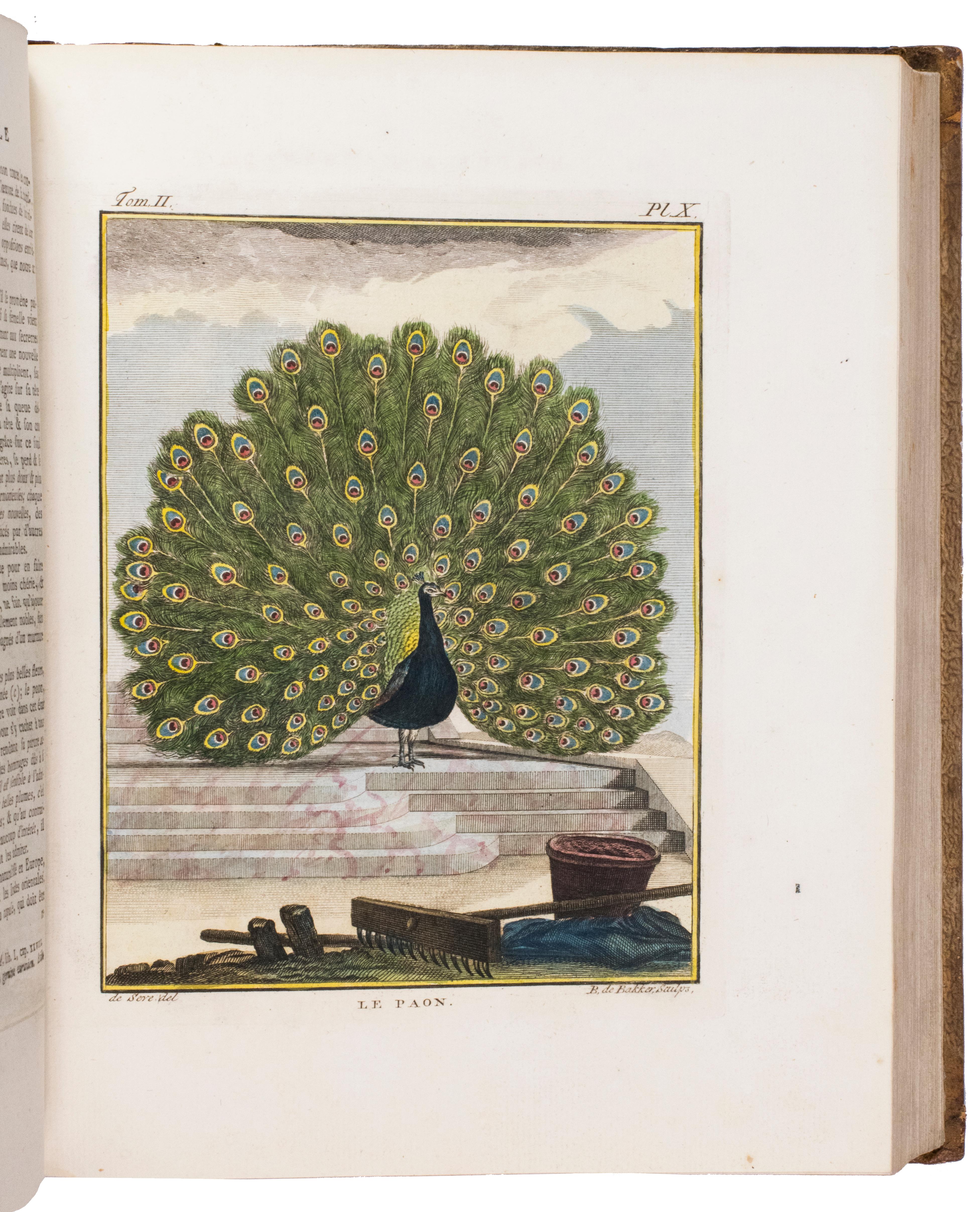 Publisher:	Buffon, Georges-Louis Leclerc de
Place / Date:	Dordrecht, Abraham Blussé, 1766-1799	
Size:		38 parts in 21 volumes.

Large 4to. With more than 1100 hand-coloured engraved plates, 10 maps, 1 folding engraved table, and an engraved portrait