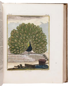 Hand-coloured set of Buffon’s Histoire naturelle in its most luxurious form