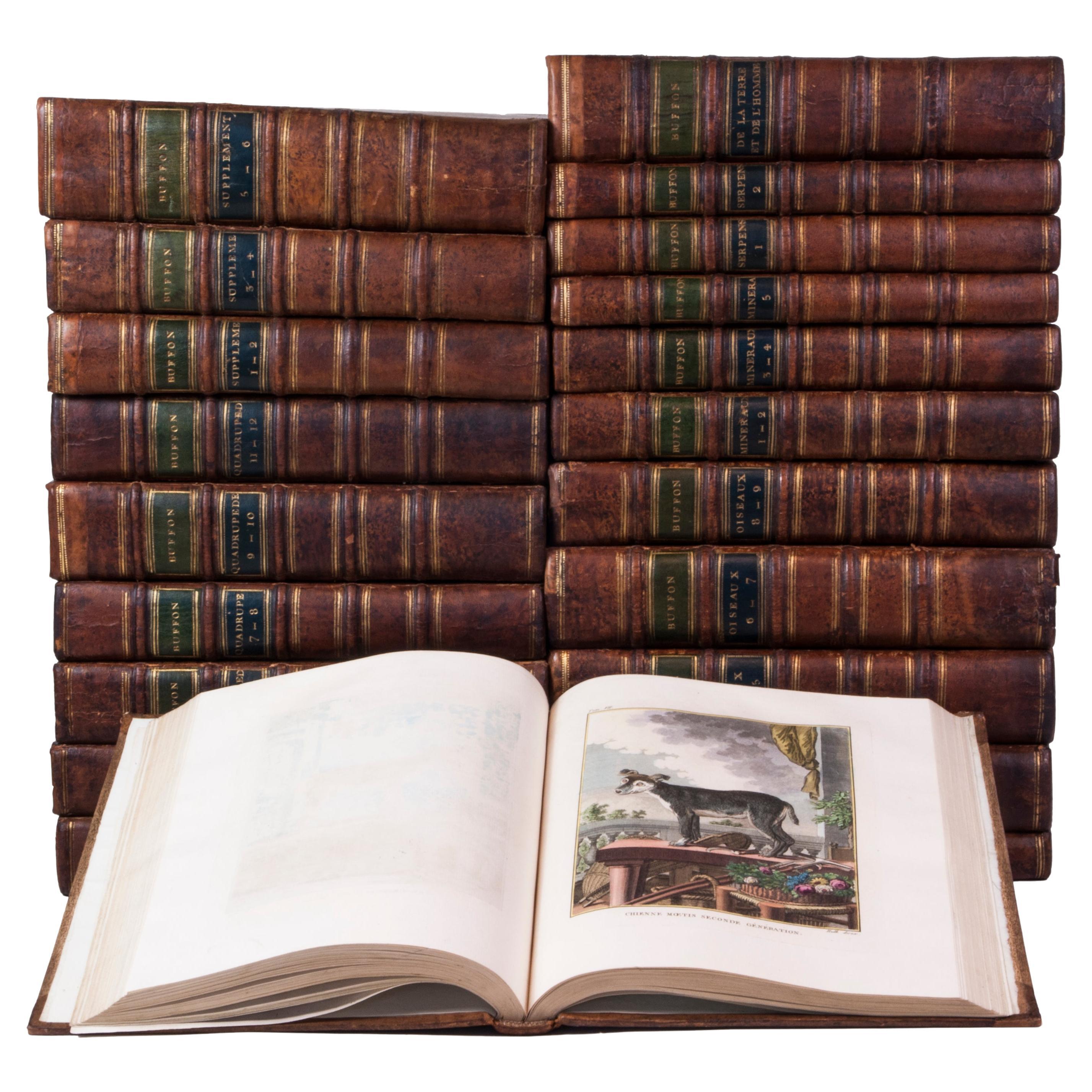 Série coloriée à la main de l'Histoire naturelle de Buffon dans sa forme la plus luxueuse. en vente