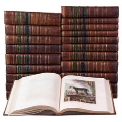 Antique Hand-coloured set of Buffon’s Histoire naturelle in its most luxurious form